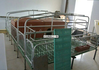 母豬產床 母豬產床