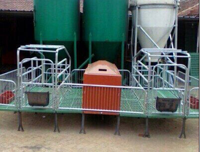 母豬產床 母豬產床